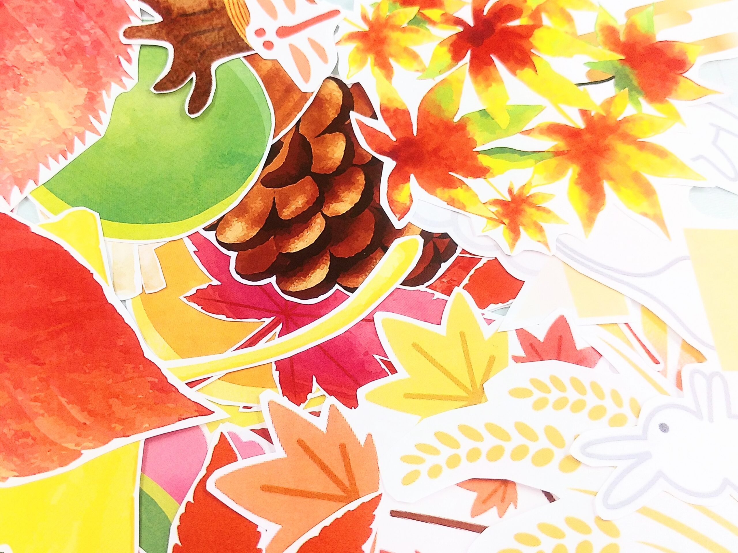 記事 秋の壁紙には秋が盛りだくさん！（豊中・服部）のアイキャッチ画像