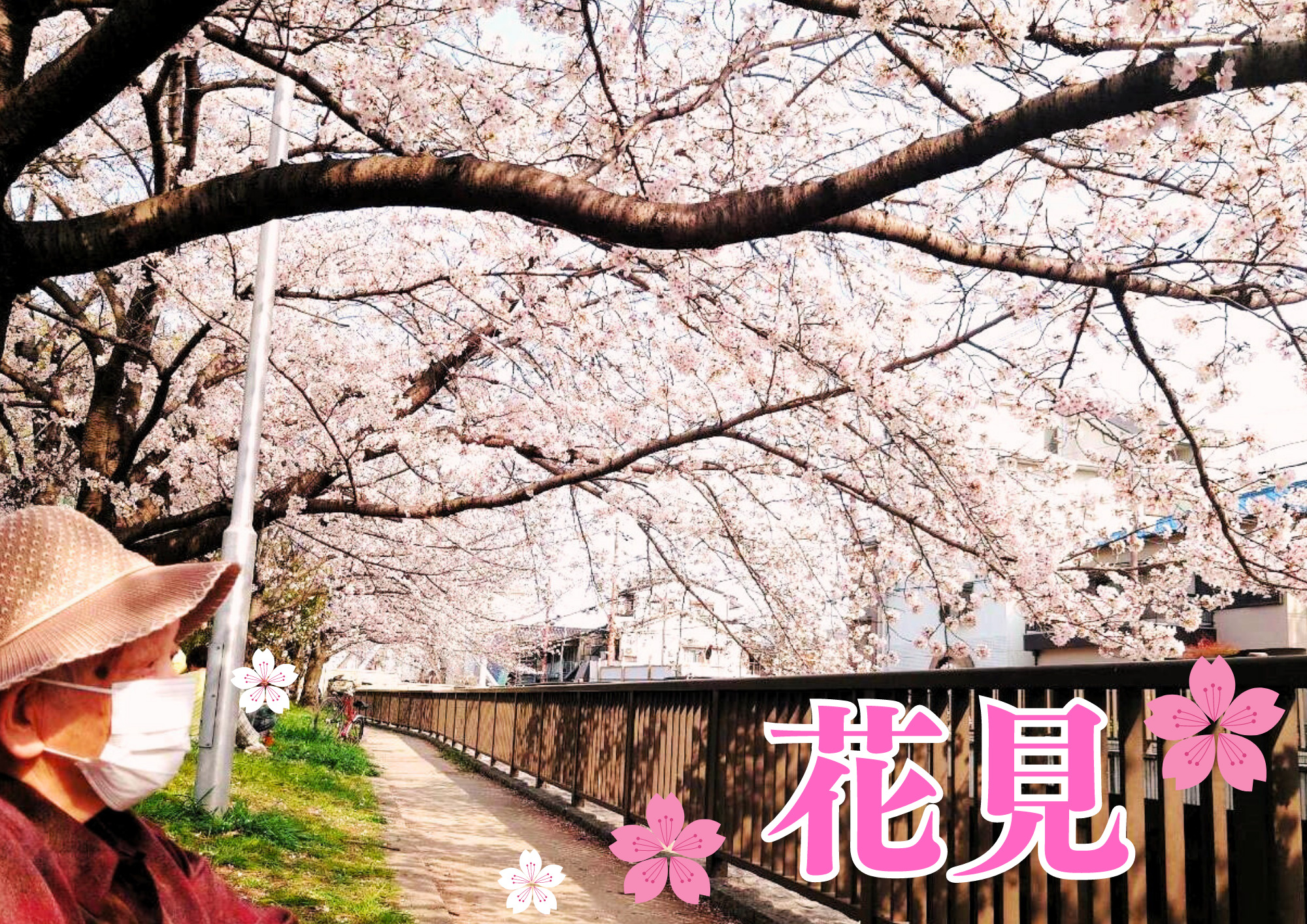 記事 桜映えスポットのある豊島公園でお花見♪（豊中・服部）のアイキャッチ画像