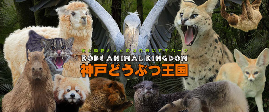 記事 遠足　動物王国～第二弾🐪🐀🐦🌸くすのき・萱島のアイキャッチ画像