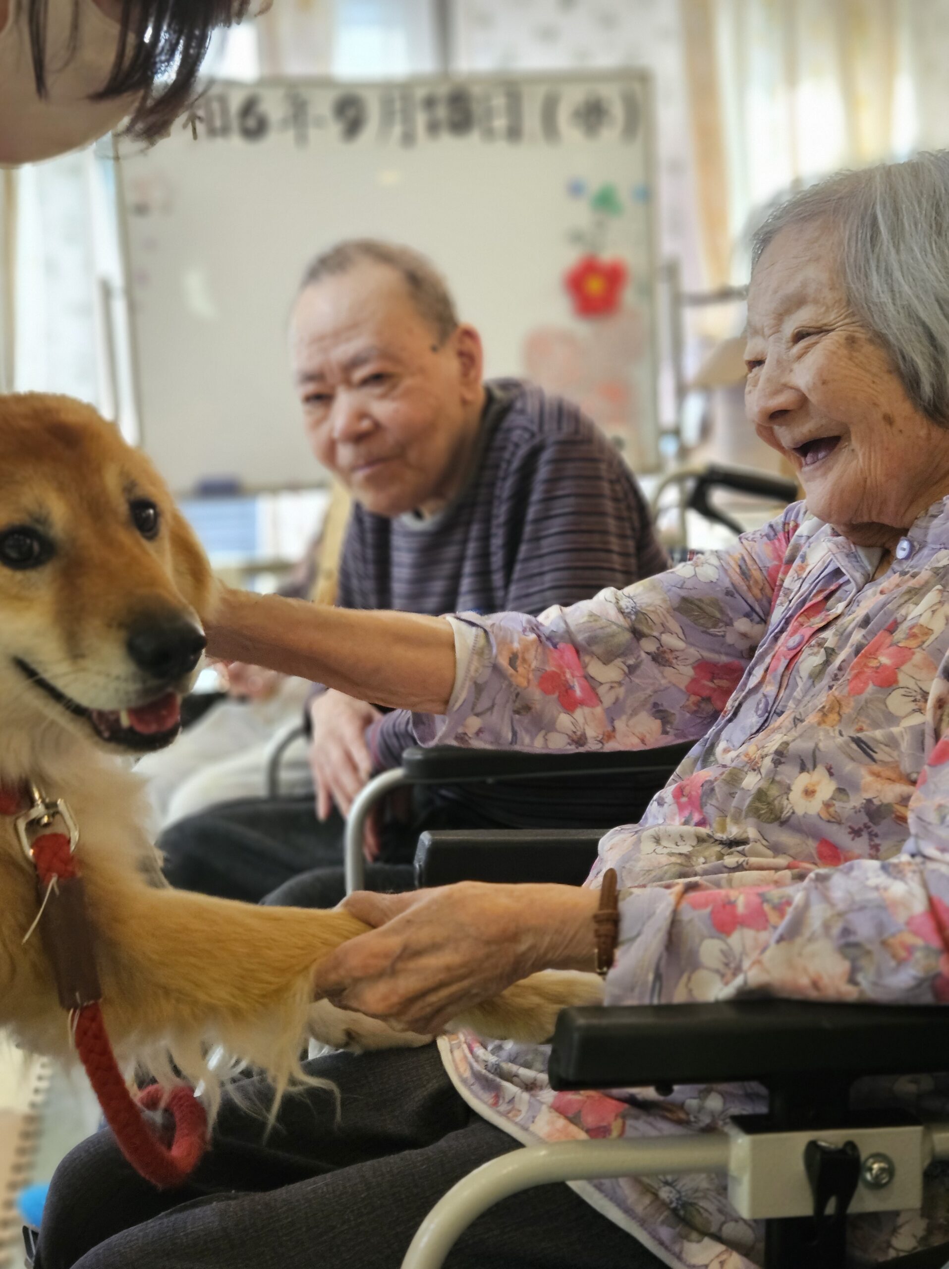 記事 ドッグセラピー🐶なみはやのアイキャッチ画像