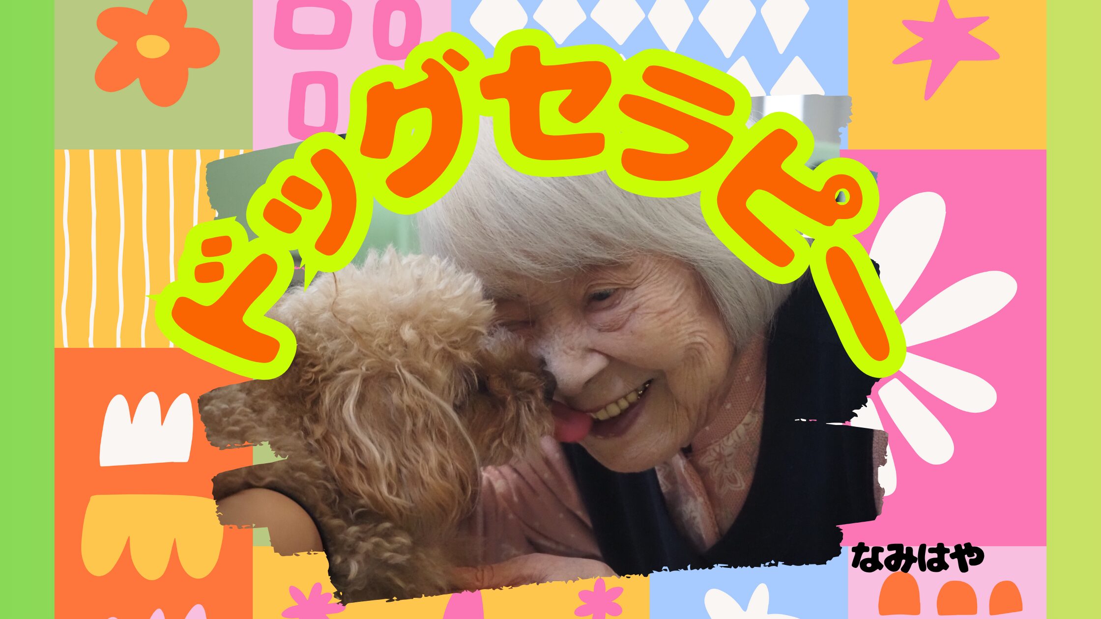 記事 ドッグセラピー🐶なみはやのアイキャッチ画像