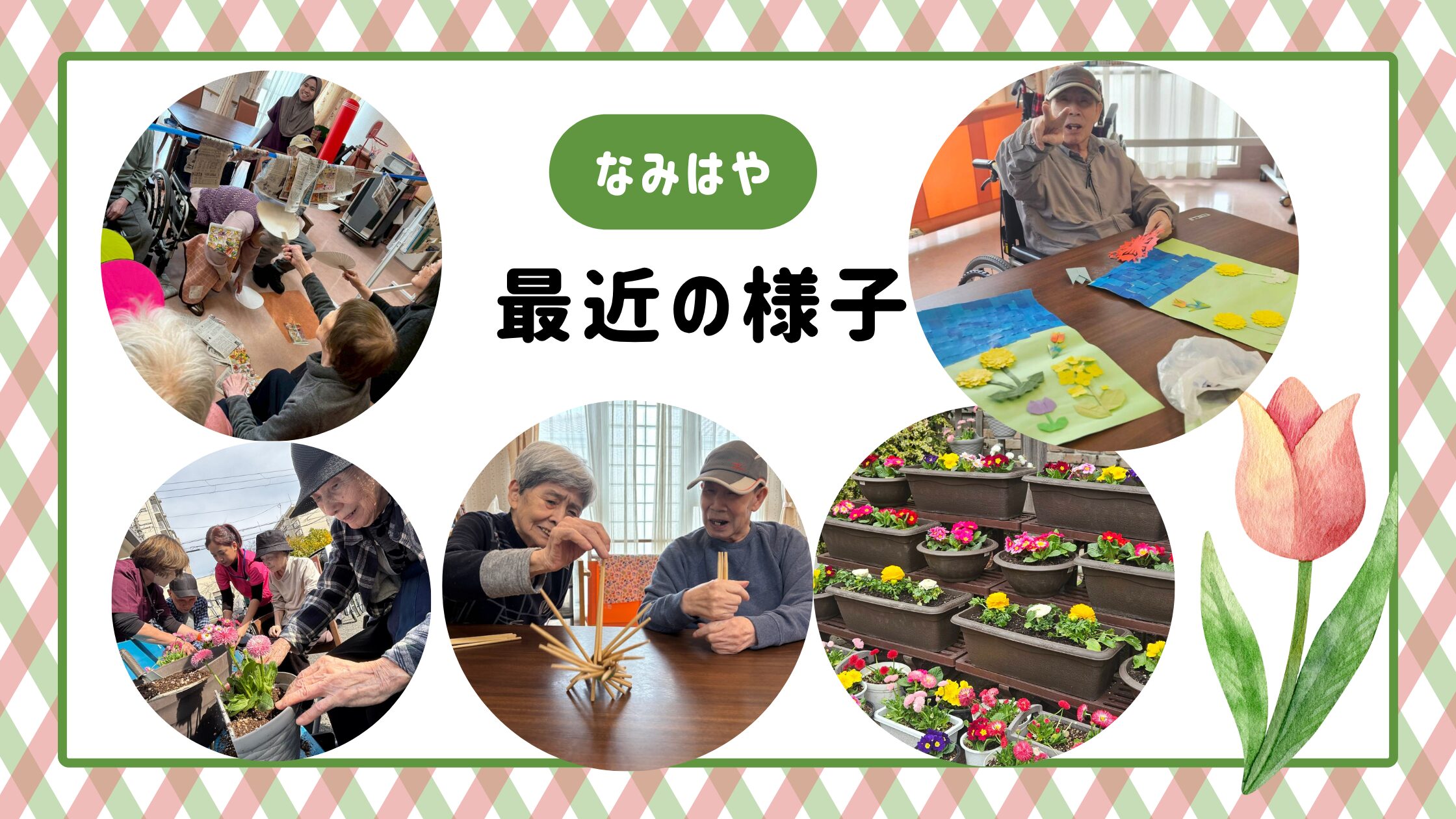 記事 最近の様子☆なみはやのアイキャッチ画像