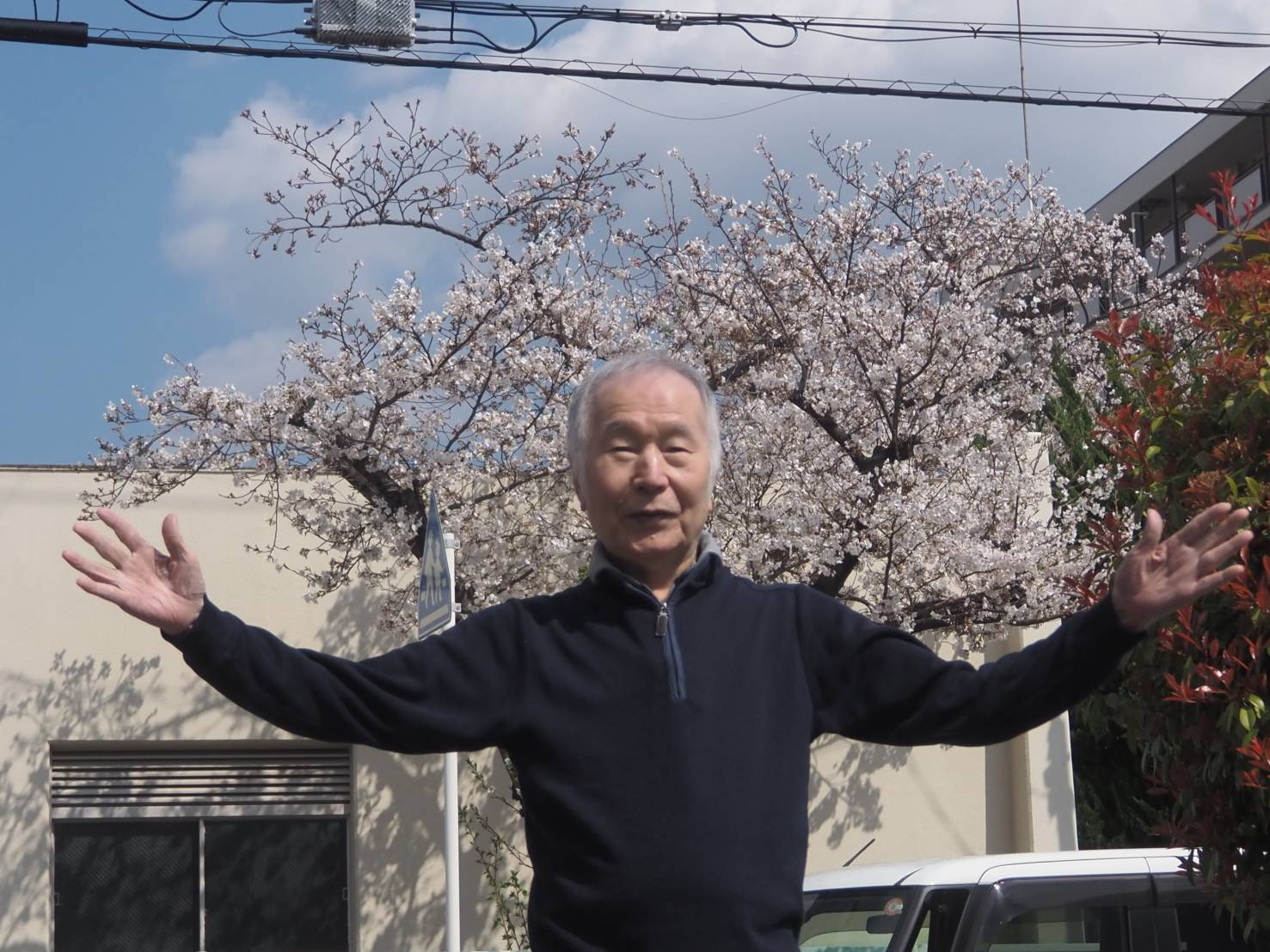 記事 お花見🌸なみはやのアイキャッチ画像