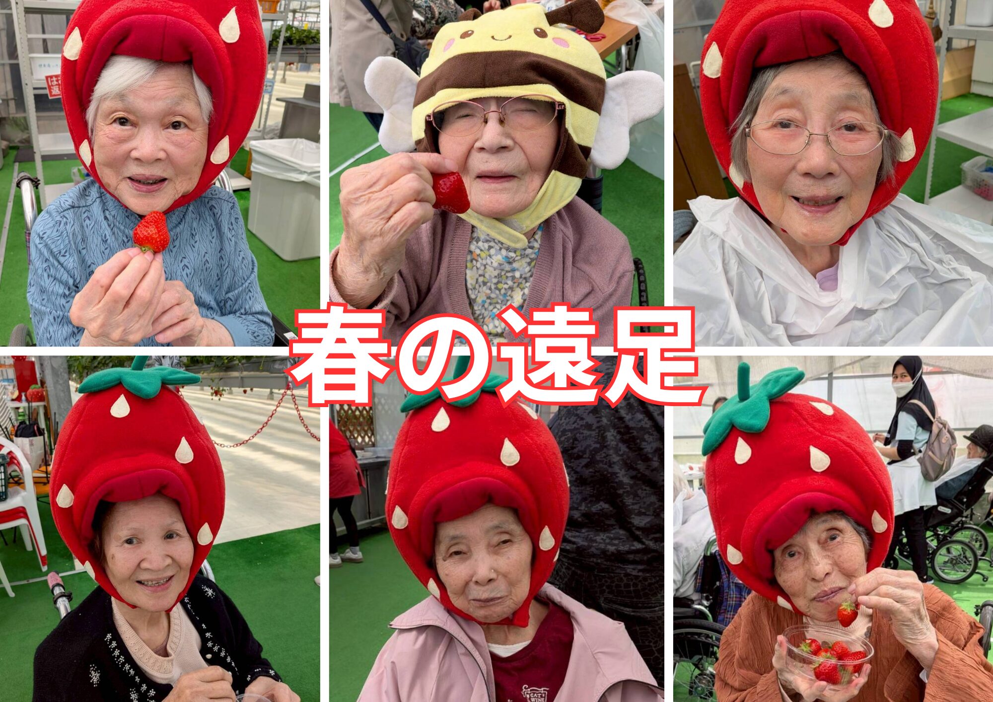 記事 いちご狩りのアイキャッチ画像