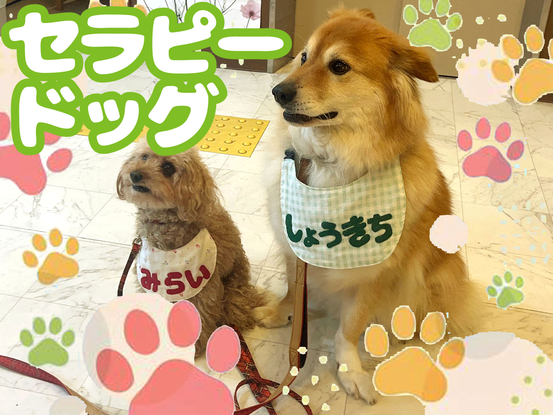 記事 セラピードッグ🐶のアイキャッチ画像
